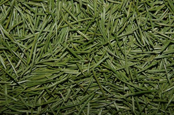 Хвоя подкисляет почву