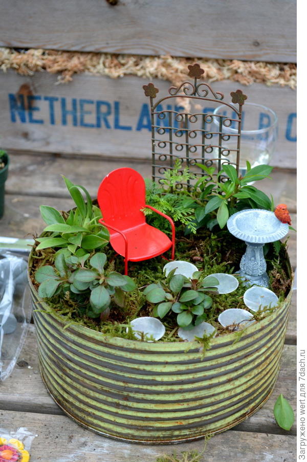 Мини-сад в горшке