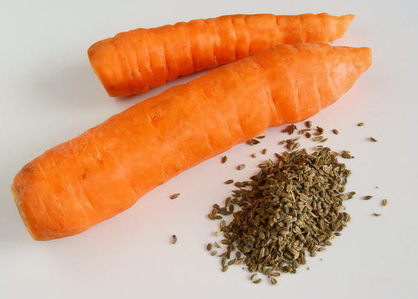 Морковь и ее семена