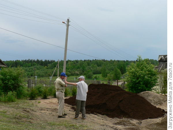 Туи посажены по левую руку от дома