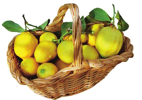 Лимоны зреют круглый год