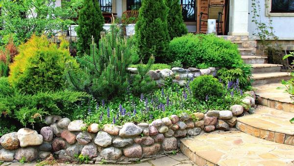 В центре композиции &amp;amp;amp;amp;amp;amp;mdash; сосна