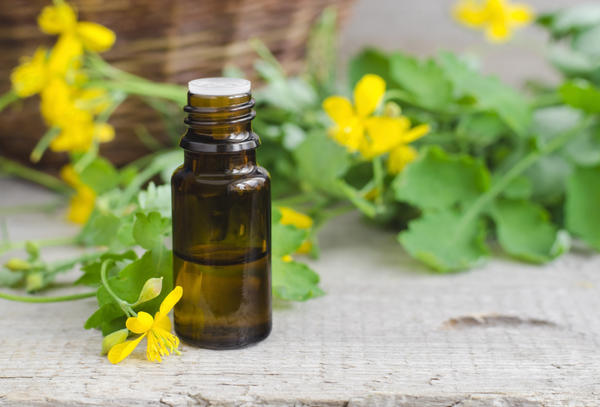 Чистотел &amp;amp;amp;amp;mdash; лекарственное растение