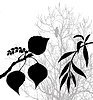 Растения силуэт, | Векторный клипарт
