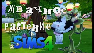 The Sims 4 - Жвачное растение или Проглотис Людоедия