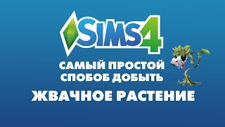 The Sims 4 Лайфхаки | Как добыть жвачное растение