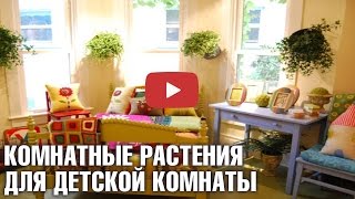 Растения в детской комнате 🌼 Какие цветы полезны для здоровья 🌼дом сад и интерьер