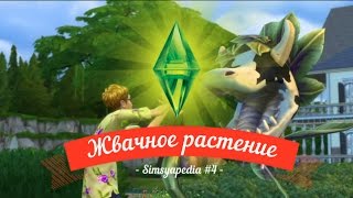 Sims 4 Жвачное растение Simsyapedia #4