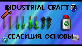 Minecraft: Industrial Craft 2: селекция, основы