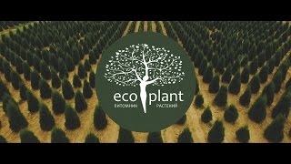 Питомник растений "EcoPlant" & Ролик для Польши