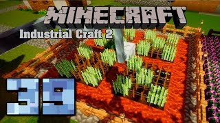 Minecraft [Industrial Craft 2] #39 Селекция. Резиновый тростник