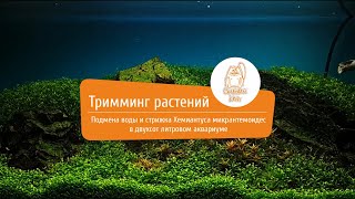 Стрижка аквариумных растений. Trimming of a plant aquarium