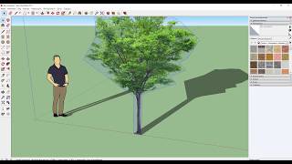 Создаём растения в SketchUp