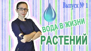 Уроки биологии: Вода в жизни растений (Вып. 1)