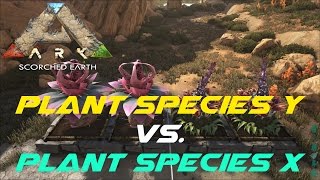 Plant Species Y vs. Plant Species X | ARK: Scorched Earth