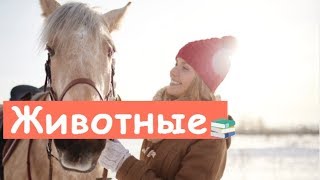 Есть Ли Животные, Которые Не Пьют Воду?