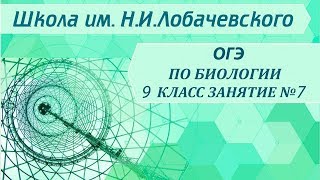 ОГЭ по биологии 9 класс. Занятие 7. Царство растений. Общая характеристика.