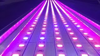 Живительный свет 2/3. Фитолампа для досвета растений. Изготовление / Special fito LED strips p2