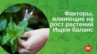 №44 Факторы, влияющие на рост растений. Как найти баланс?