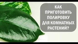 Полировка для КОМНАТНЫХ растений! Делаем сами!