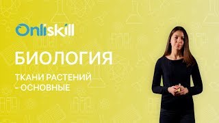 Биология 6 класс: Ткани растений - Основные