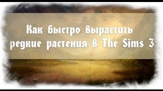 Как быстро вырастить редкие растения в The Sims 3 (Плод жизни, Цветок смерти и т.д.)