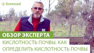 Кислотность почвы. Как определить кислотность почвы