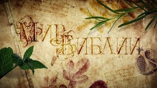 Мир Библии 1. Библейские растения