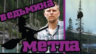 Ведьмина метла / Witch