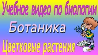 Цветковые растения. Цветок. Размножение. Лекции и опыты по ботанике