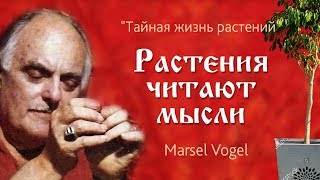 Питер Томкинс "Тайная жизнь растений", глава 2, Растения читают мысли