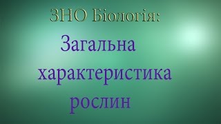 ЗНО Біологія Загальна характеристика рослин