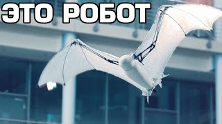 10 САМЫХ УДИВИТЕЛЬНЫХ РОБОТОВ В МИРЕ