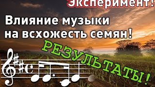 Влияние музыки на растения. Результаты эксперимента!