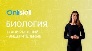 Биология 6 класс: Ткани растений - Выделительные