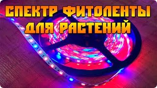 Спектр светодиодной led ленты для растений (фитолента)