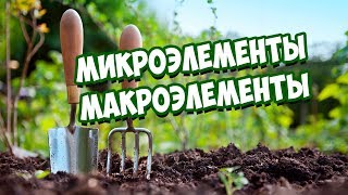 Питание Растений 🌱 Микроэлементы и Макроэлементы 🌱