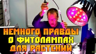 Немного правды о Led фитолампах Е27 (лампы для растений)