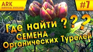 Ark: Survival Evolved #7 - Где найти семена органических турелей (Plant Species X)?