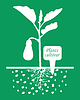Баклажанов растения с этикеткой сорта на зеленый | Векторный клипарт