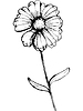 Поле цветок | Векторный клипарт