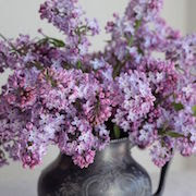 Суеверия цветы