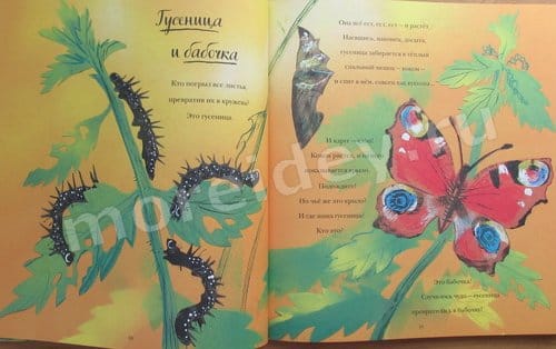 Никола Девис Большая книга природы