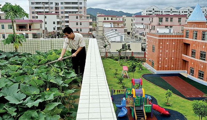 устройство садов на крыше фото