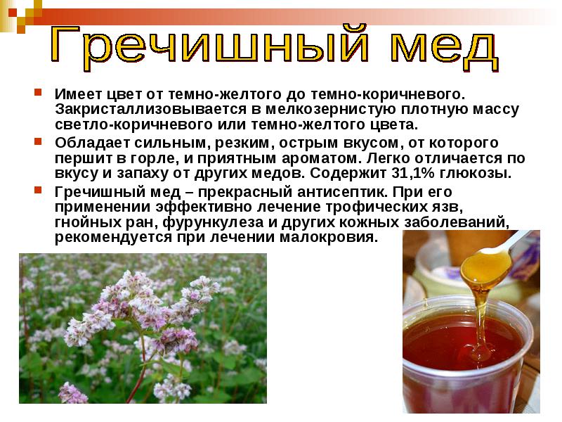 гречишный мед медонос и продукт