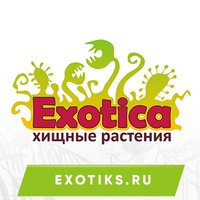 Выставка хищных растений в Екатеринбурге!