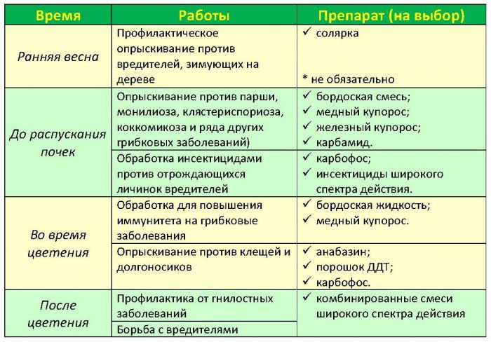 Чем опрыскивать деревья весной