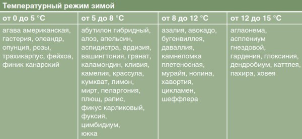 Температура зимой и период покоя