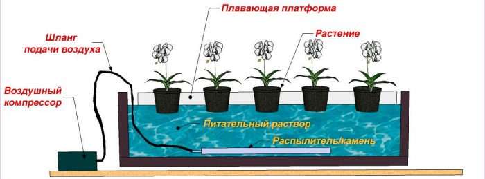 система