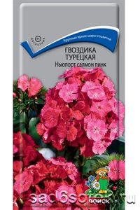 Гвоздика турецкая сорт Ньюпорт Салмон Пинк (Newport Salmon pink)